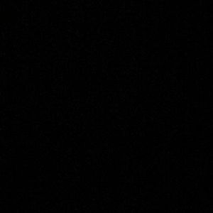 Meet your Posher, Adel